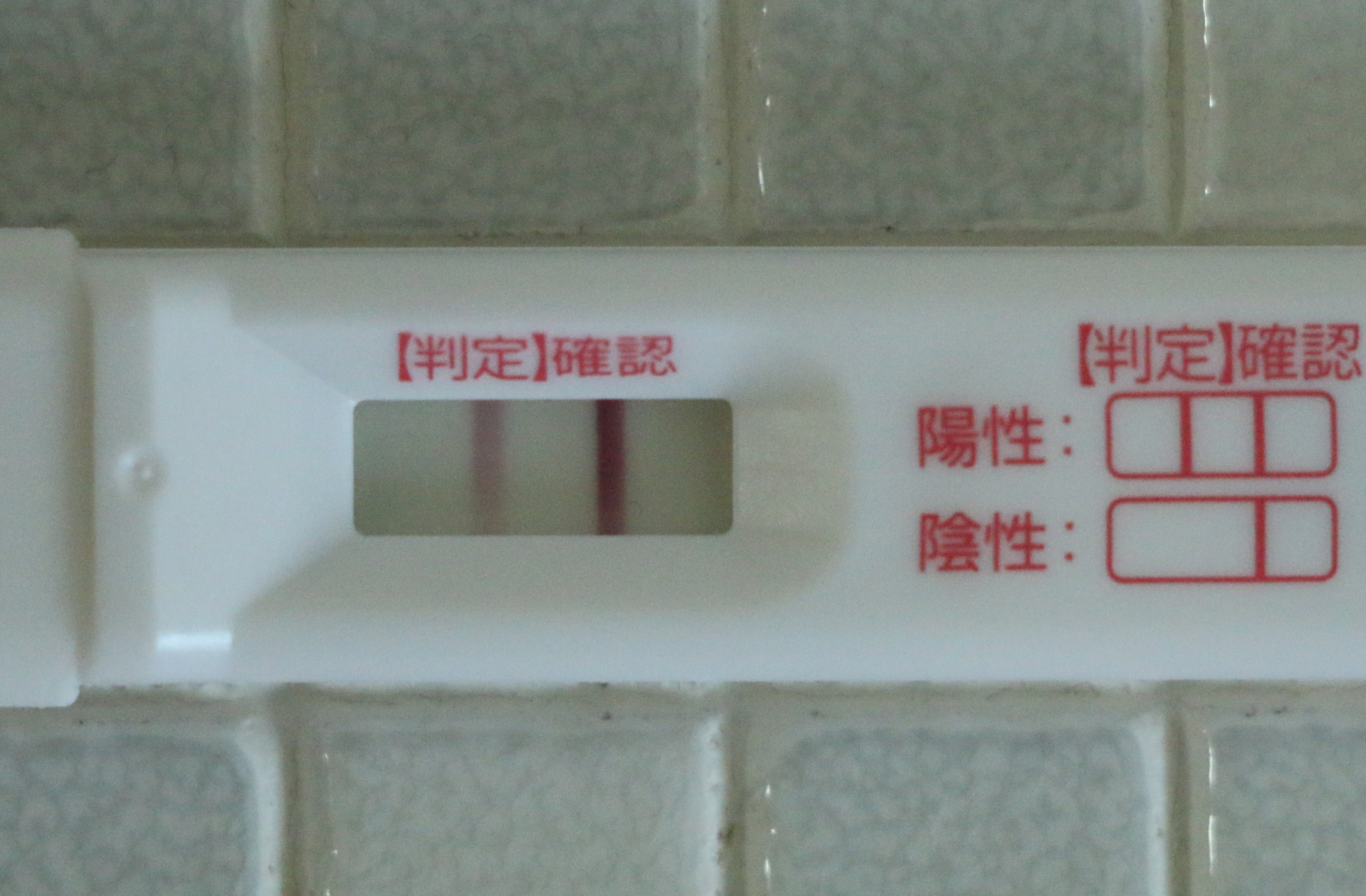 うっすら ドゥーテスト 妊娠検査薬(ドゥーテスト)をフライング(高温期11日目)うっすら線が出た後の経過